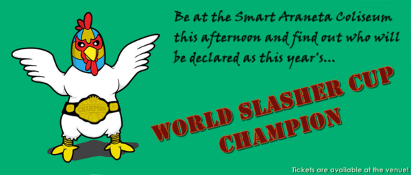 TheWorldSlasher's tweet photo. Last day of #WorldSlasherCup2013 today! Be at @TheBigDome this afternoon and find out the results LIVE! http://t.co/9JVggc7X