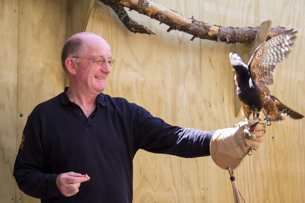 NzFalcons's tweet photo. Falcon meets wine writer- brave enough to feed her with your bare hand? @Ozclarke, @jeniport, @andreajfrost http://t.co/biYcHzyZ