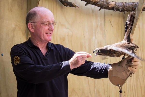 NzFalcons's tweet photo. That looks like a yes! @Ozclarke, @jeniport, @andreajfrost http://t.co/tPzEkm2o