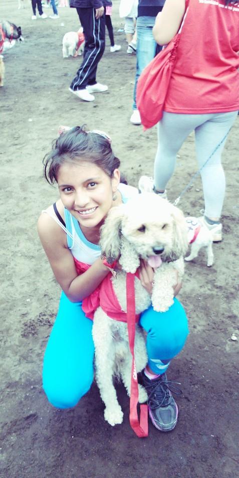 macasive's tweet image. Canicross