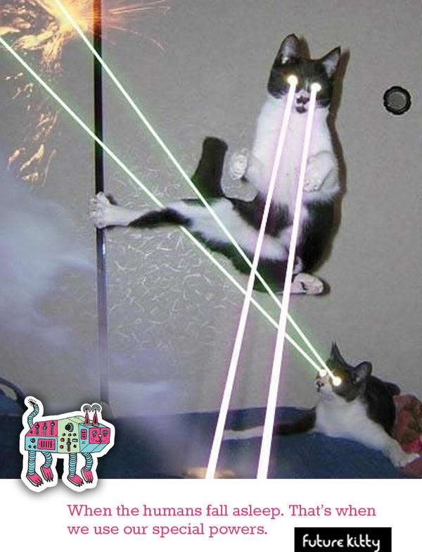 FutureKitty's tweet photo. http://t.co/YPo1sZms