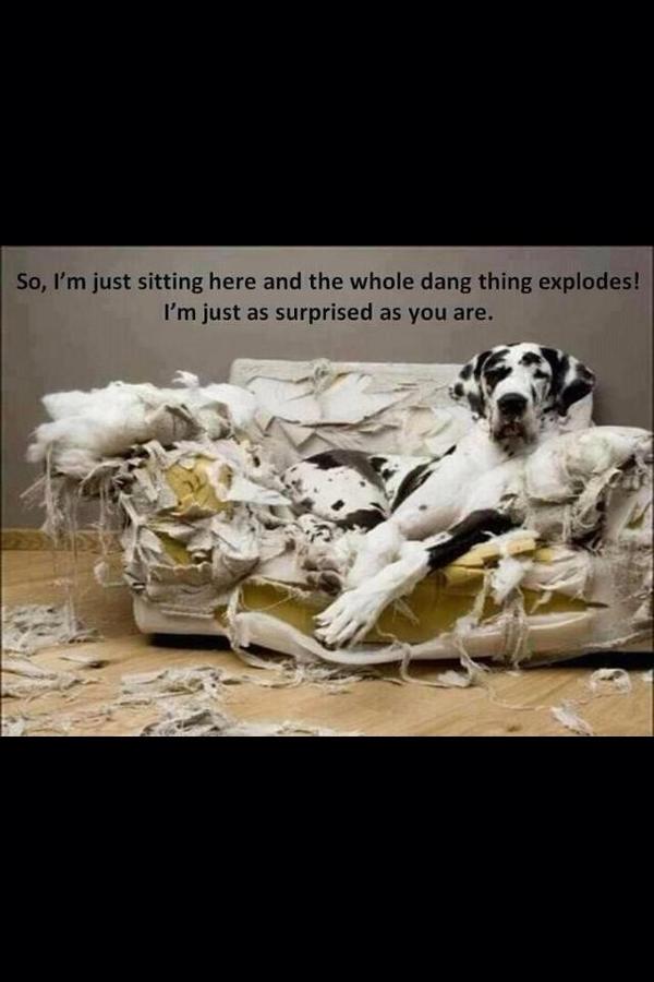 RebeccaLCaswell's tweet image. Life with our oldest son. #joy #brokenstuff