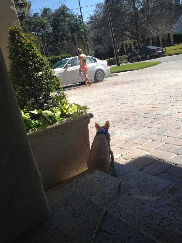 Fannypackcats's tweet photo. On the prowl http://t.co/3QtJizde