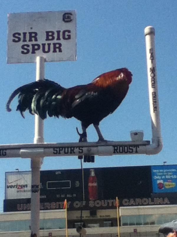 SethDiamond123's tweet image. 