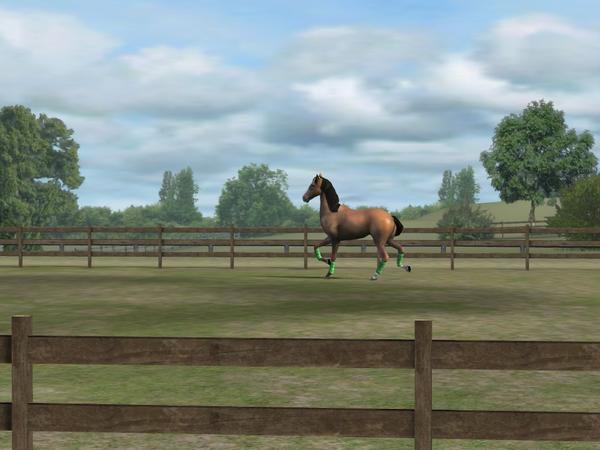 jonathan schoop tweet media