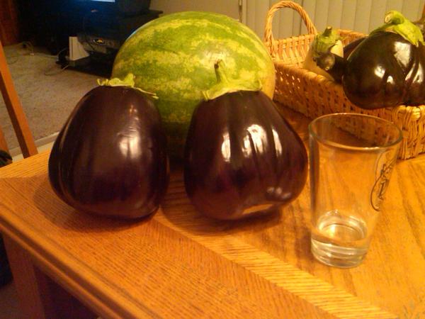The summer of 2010 was the best season we had for egg plants. The plant were 4 feet tall.