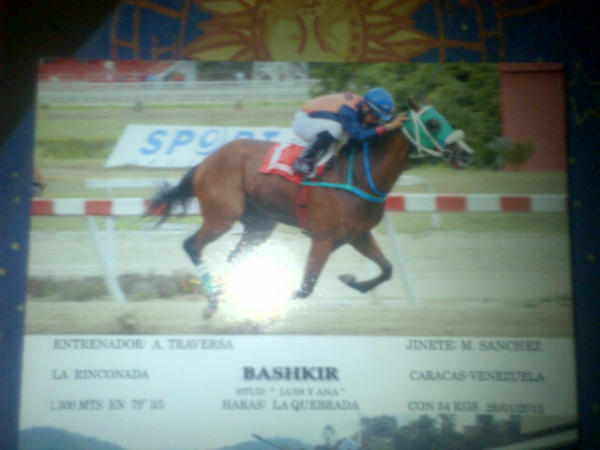 Mychel sanchez tweet media