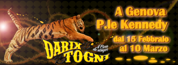 circotogni's tweet photo. http://t.co/nBY5H5M9