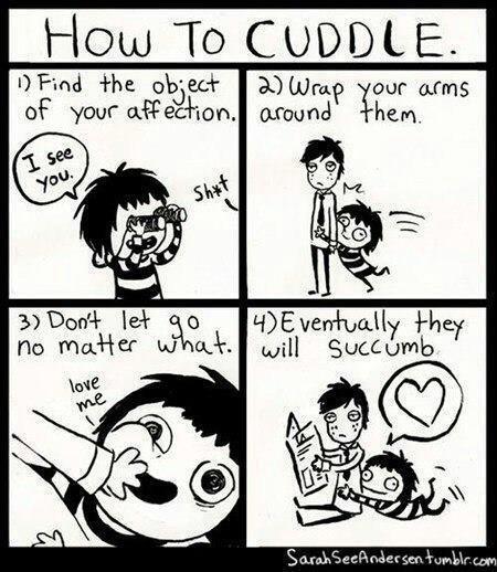 KelsiWenger's tweet image. this is hilarious! #howtocuddle