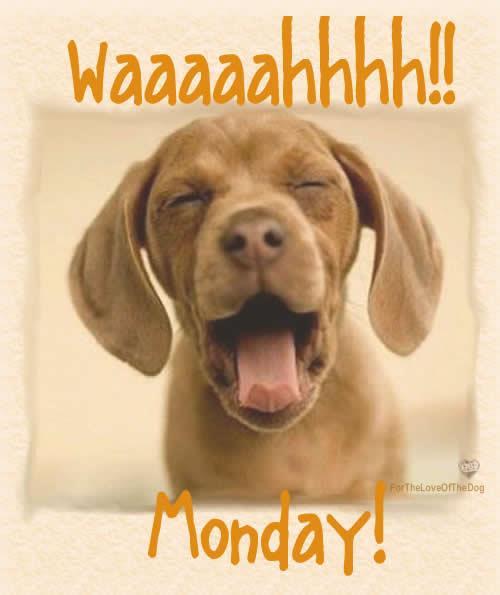 Happy Monday My Friend Thangam Memorial On Twitter: "Good Morning My Friends And Happy Monday!  Don't Worry, It's Not As Bad As All That... :) Http://T.co/Ccvvja5X" /  Twitter