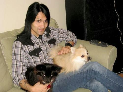 Enlace permanente de imagen incrustada