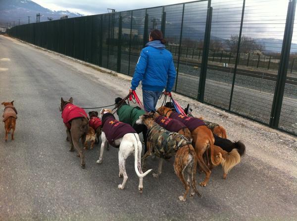 Paseo con parte de la pandilla...