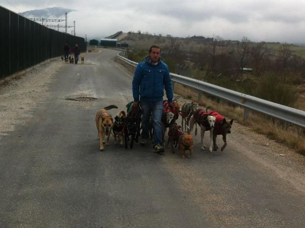 Pomi (@pomiramirez) on Twitter photo 