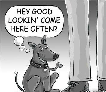 hayasdogs's tweet photo. #Spaying / #Neutering your #Dog
Many pet owners squirm when you mention spaying or neutering.... https://t.co/bVbcFLkz http://t.co/9XC55z5X