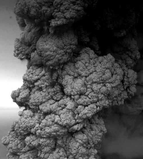 SIMONE DIDONNA (@palmtreeshadows) on Twitter photo 