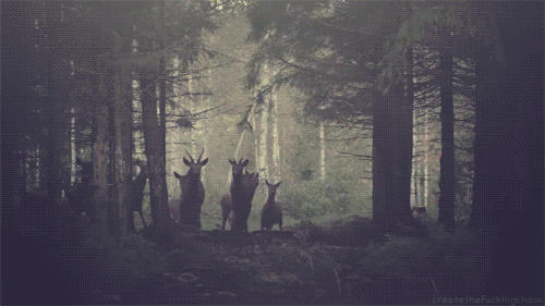 SIMONE DIDONNA (@palmtreeshadows) on Twitter photo 