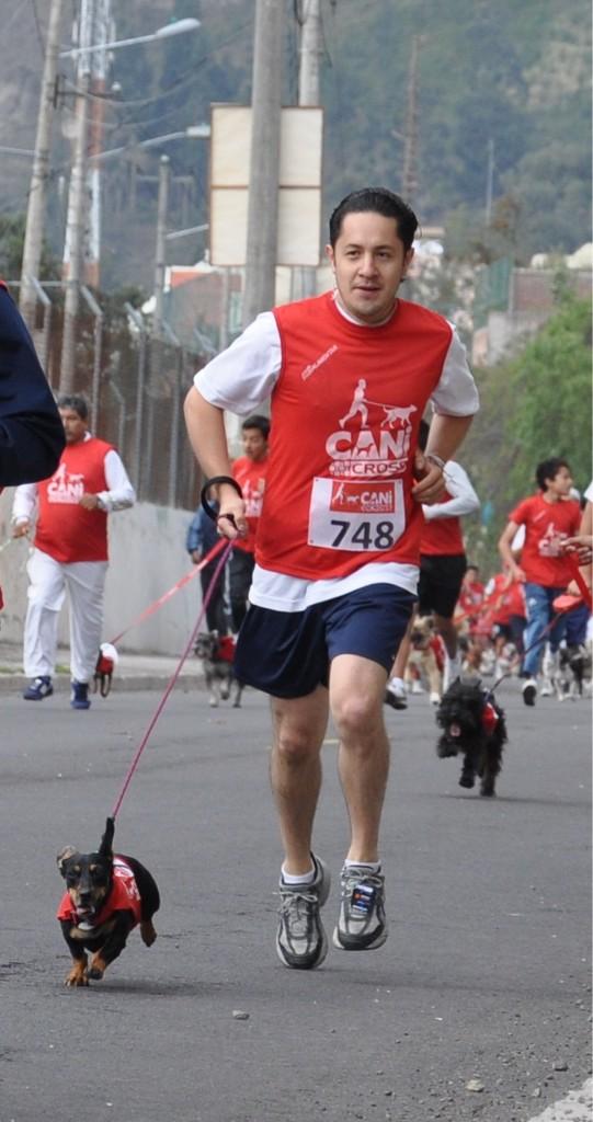 davidvelastegui's tweet image. Gran Carrera #Canicross !!