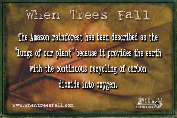 WhenTreesFall's tweet image. Earth Facts #11 whentreesfall.com