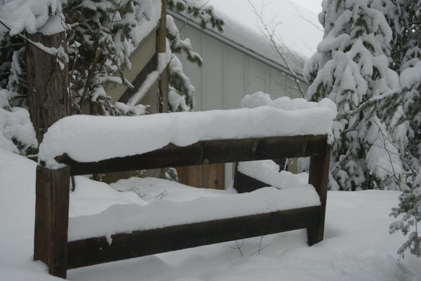 6 inches of new snow