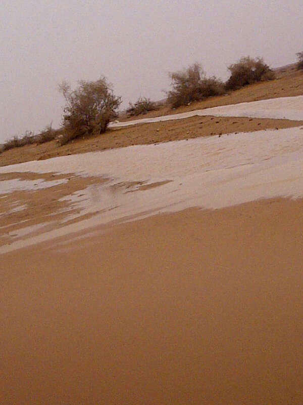 rafhaweah's tweet photo. من تصويري اليوم http://t.co/gbe4aesp
