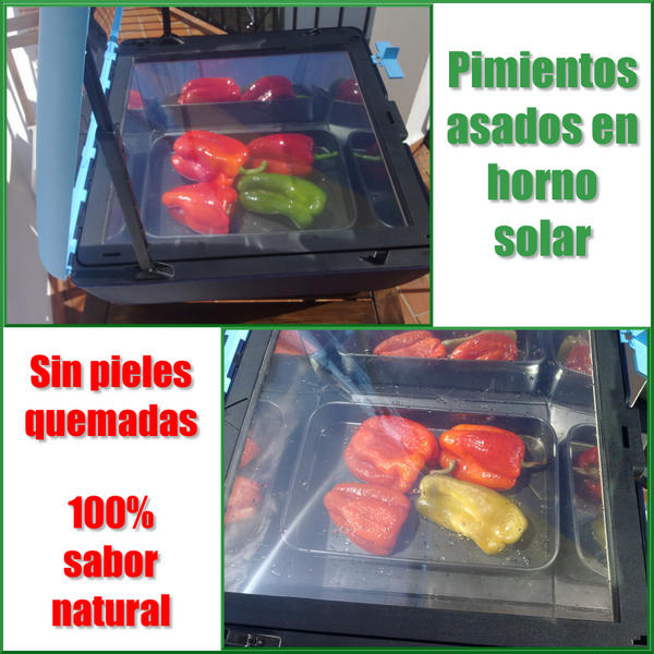 Pimientos asados en el horno solar Sun Cook #ecologia y cero gasto en electricidad #permacultura