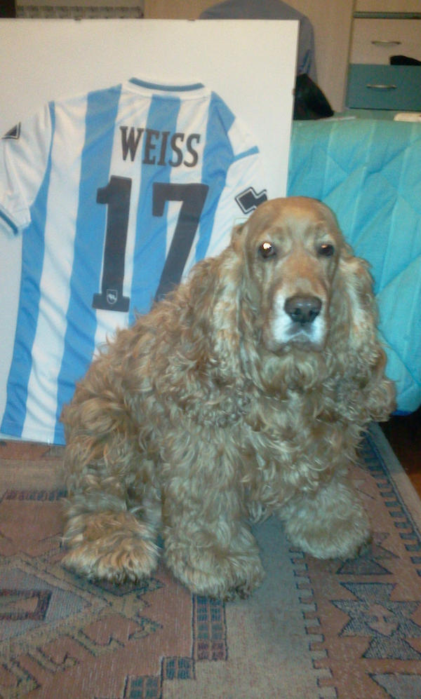 Francesco Taricone tweet media