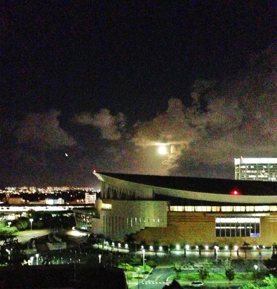 View from the Apt