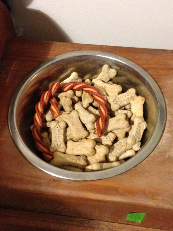 BenelliBruce's tweet photo. We all wonder what dogs dream about....... http://t.co/NbLoEU2d