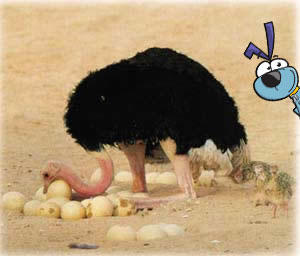 Kidzania Jakarta A Twitter Tahukahkz Bahwa Berat Sebuah Telur