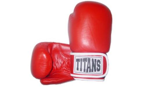 titan boxing gloves