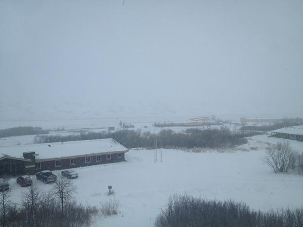 Snowing on Piapot.  #PiapotFN #winter