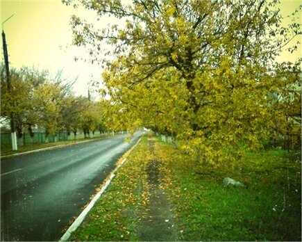 shapovalova93's tweet photo. #autumn http://t.co/LTkXPu4x http://t.co/LCGz3oDB