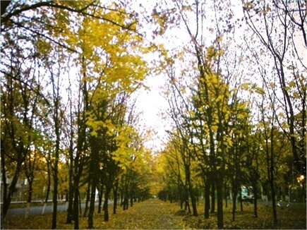 shapovalova93's tweet photo. #autumn http://t.co/SuObMFt0 http://t.co/vtAw8MkL