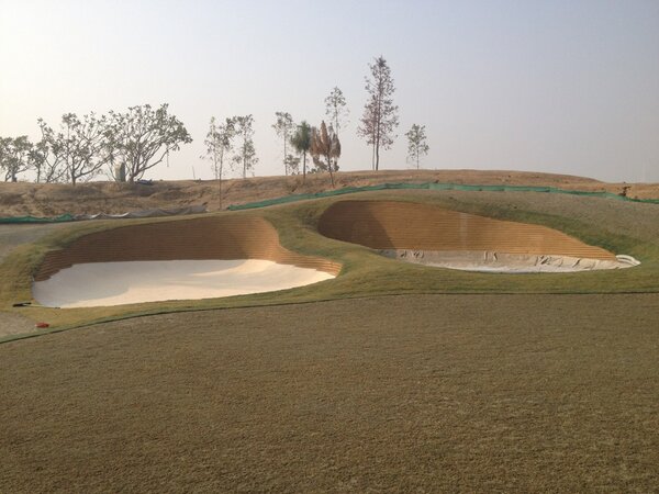 David B Mathews tweet media