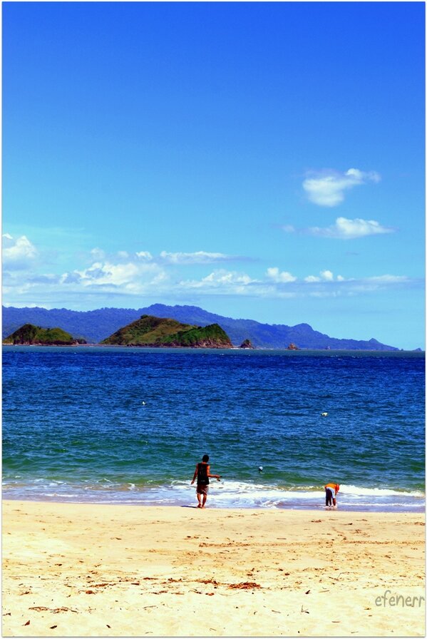 WegoID's tweet photo. #IniIndonesia - “@efenerr: Pasir Putih Papuma. #jembertrip http://t.co/Y75sSAGr”