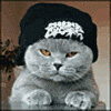 Aryo_Chaves tweet picture