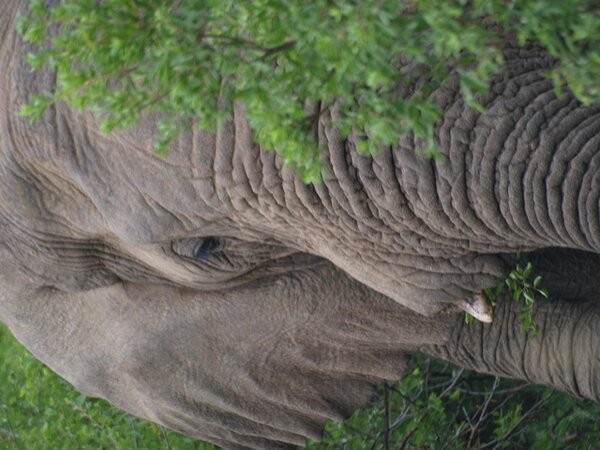 Elephant Rock Lodge tweet media