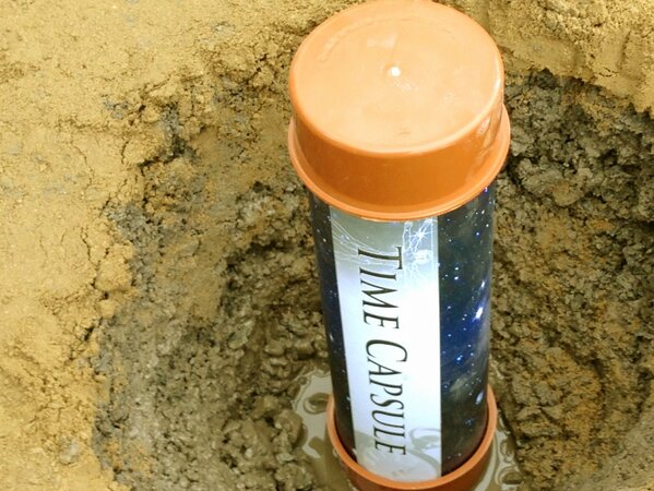 P3 Plant Ltd tweet media