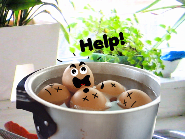 BCFpics's tweet photo. Help! http://t.co/NGgs0QxI