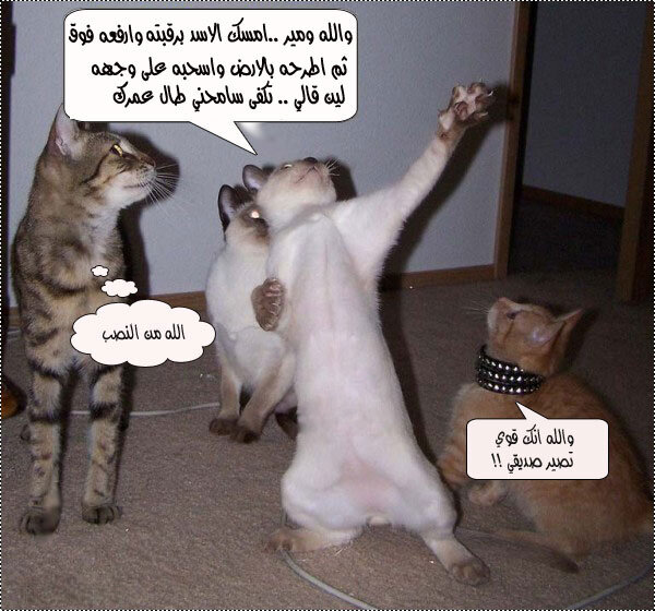 شوفوا أقوى صاروخ في العالم