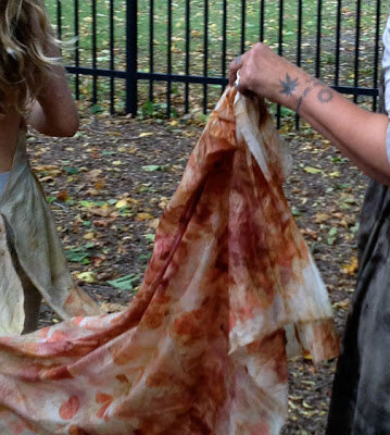 Chelsey Greene tweet media