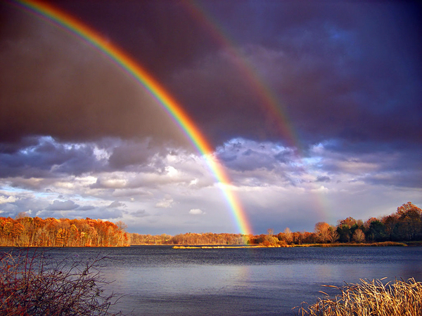 BCFpics's tweet photo. Rainbow. http://t.co/WDzLJgDa