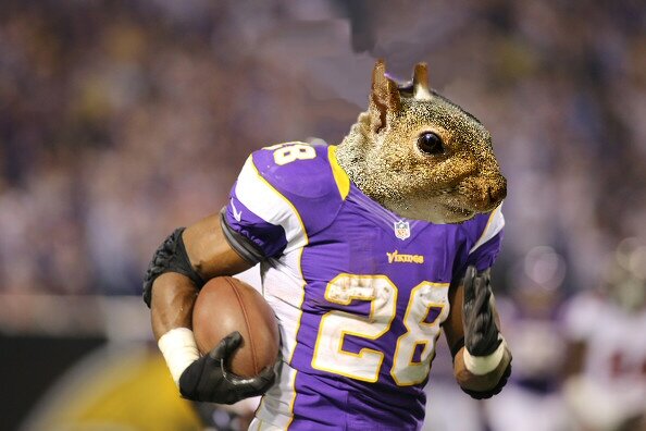 SquirrelSez's tweet photo. My favorite athlete!  Adrian Squirrel, from the NFL (Nature's Furry Lot), is definitely THE MVP in my book! http://t.co/ZE6JHHvN