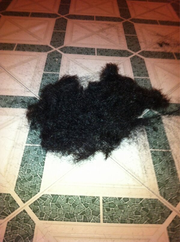Just cut a dead cat off santos's head #smoothcuts