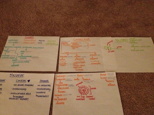 BrookieLarsen's tweet image. wow when it comes to a&amp;amp;p #nerdstatus #donthate #labpractical