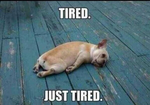 DopeThinking's tweet image. Me every morning.