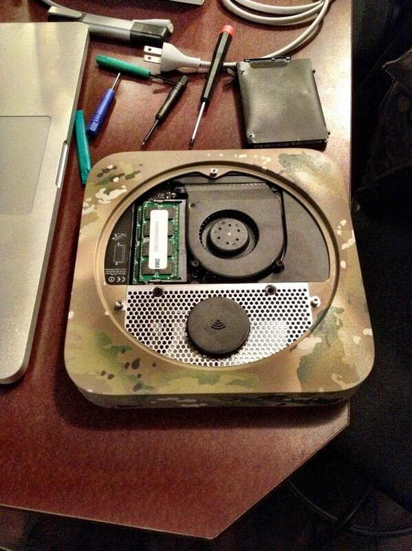 Andrew P tweet media