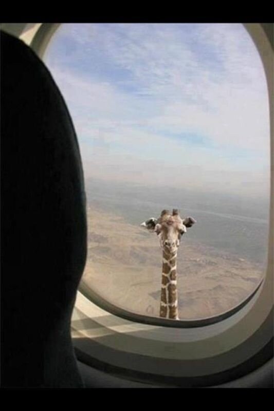 jh_divil's tweet photo. @JamieLaing_UK You laugh? http://t.co/q8EyTrza