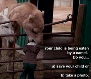 Ridiculousness's tweet photo. Your child is being eaten by a camel..you A) save your child B) instagram! C) capture the #Ridiculousness on video? http://t.co/Gp1VUTJz