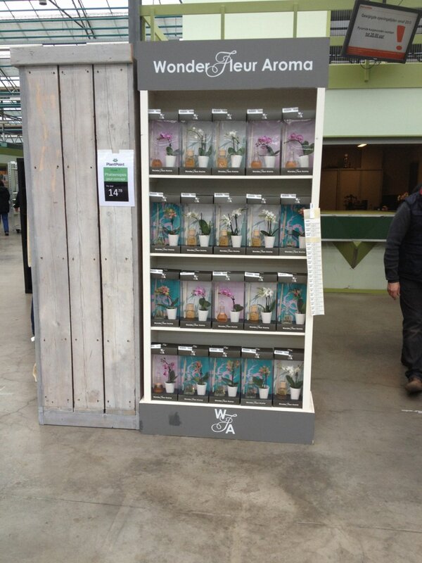 Nog een prachtig Valentijnscadeautje te koop bij Plant Point !! De Wonder Fleur Aroma .... #wfa #noviteit